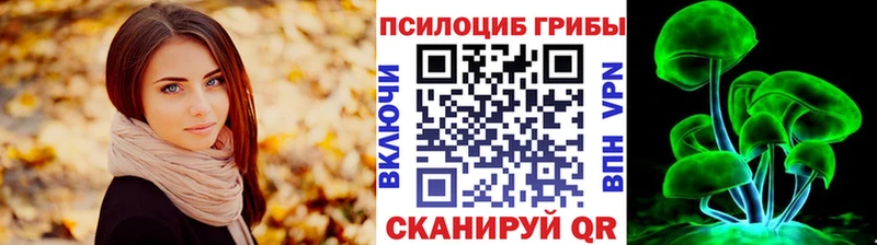 ссылка на мегу как зайти Дмитриев нарко площадка формула где можно купить наркотик Галлюциногенные грибы Magic Shrooms